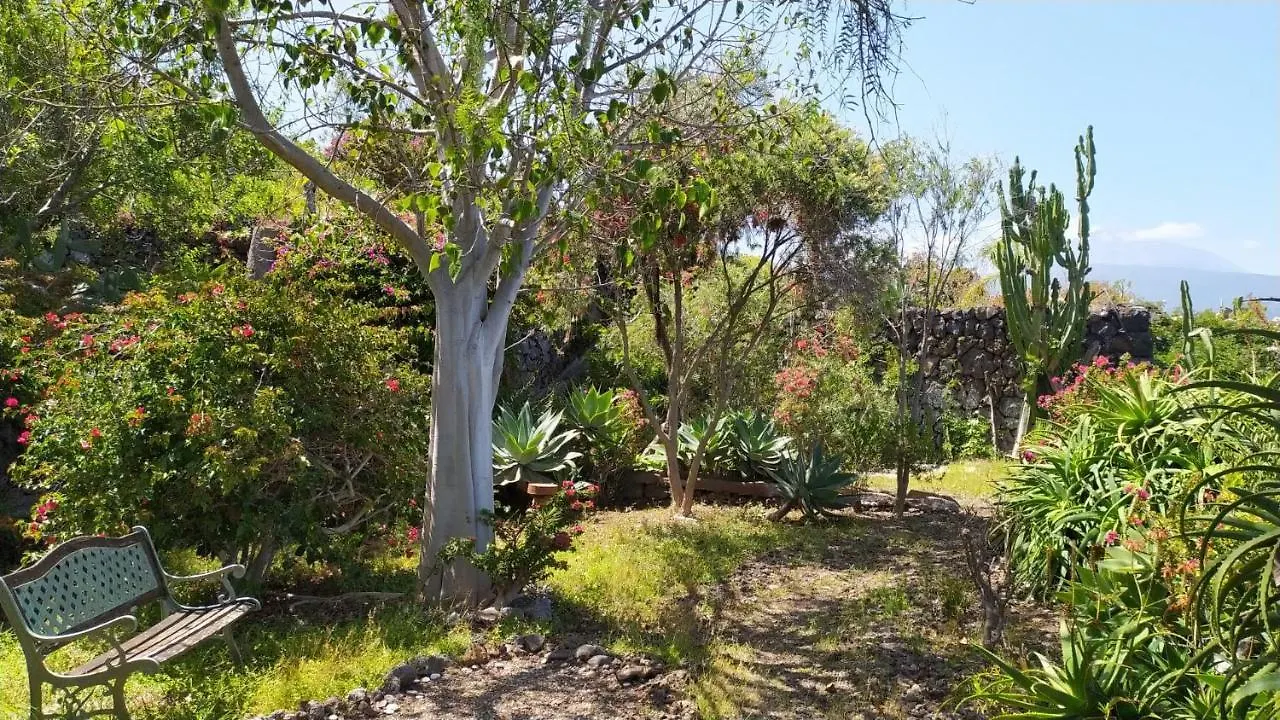 Accommodatie bij particulieren Willkommen im Paradies - Welcome in Paradise - Bienvenidos al paraíso La Matanza De Acentejo Spanje